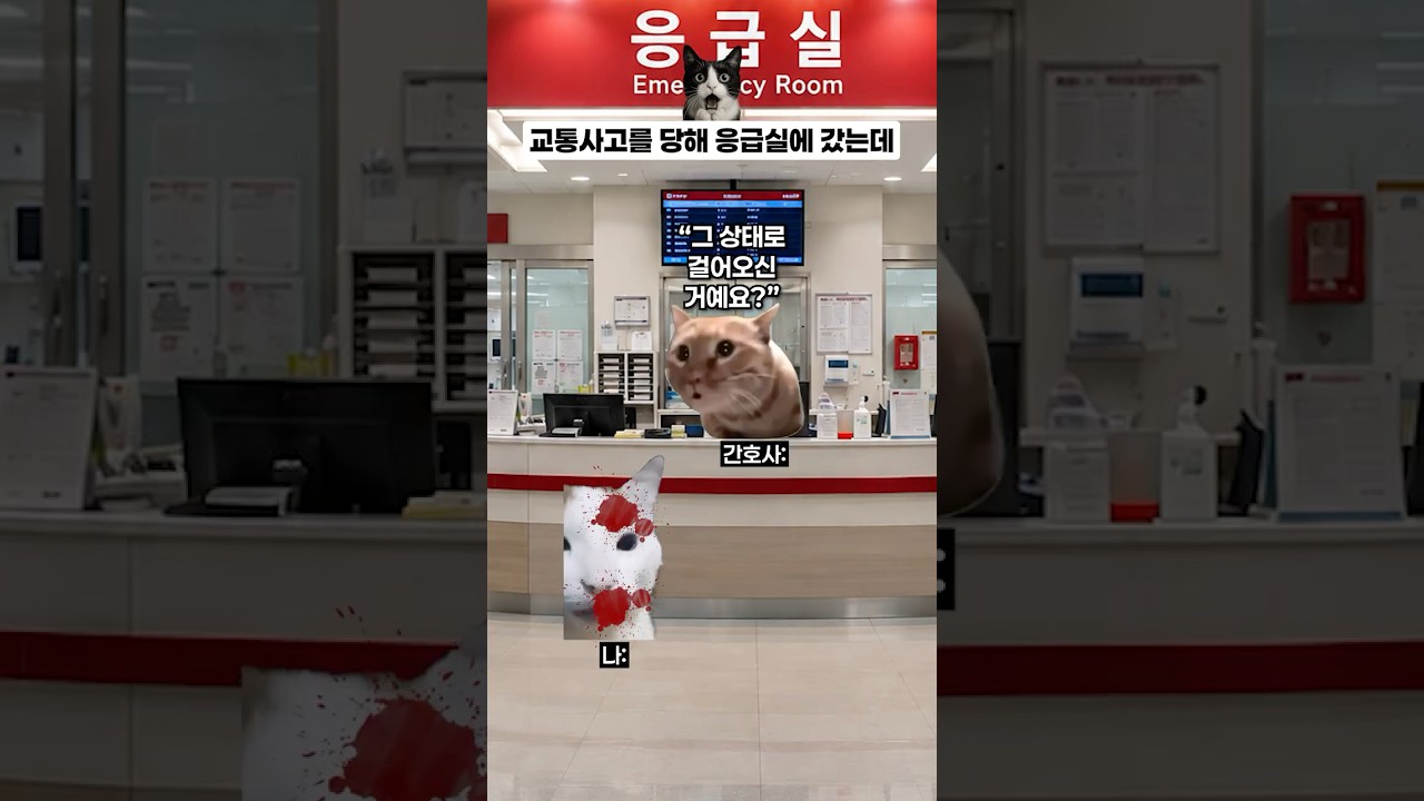 교통사고를 당해 응급실에 갔는데 ☠️