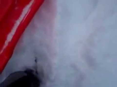Schlitten Fahren