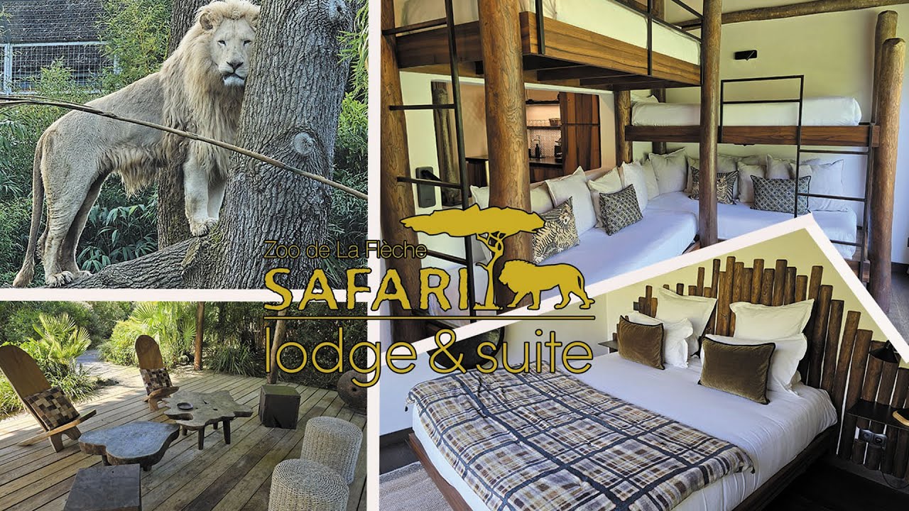 ZOO DE LA FLECHE - SERENGETI LODGE AVEC LES LIONS BLANC