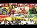 ALL LEGO Ninjago Polybags Ever Made! (2011-2019 Legacy)