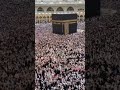 Umrah  tawaaf full of pilgrims shawwal 1445 april 2024 makkah viral shorts madinah