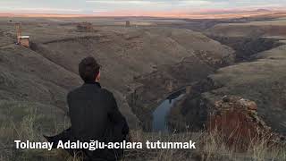 Tolunay Adalıoğlu-Acılara Tutunmak(cover) Resimi