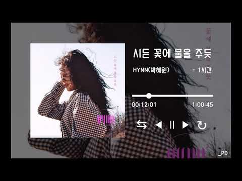 1시간 시든 꽃에 물을 주듯 HYNN 박혜원 