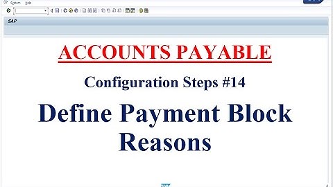 AP Configuration Steps #14 Define Payment Block Reasons