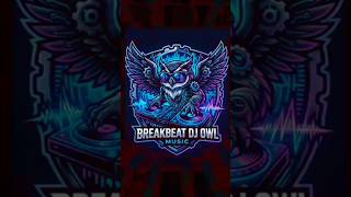 DJ OWL Party Light Night Mix #DJParty2026 #LightNightMix #NonstopPartyBeats#djremix #djowl#breakbeat