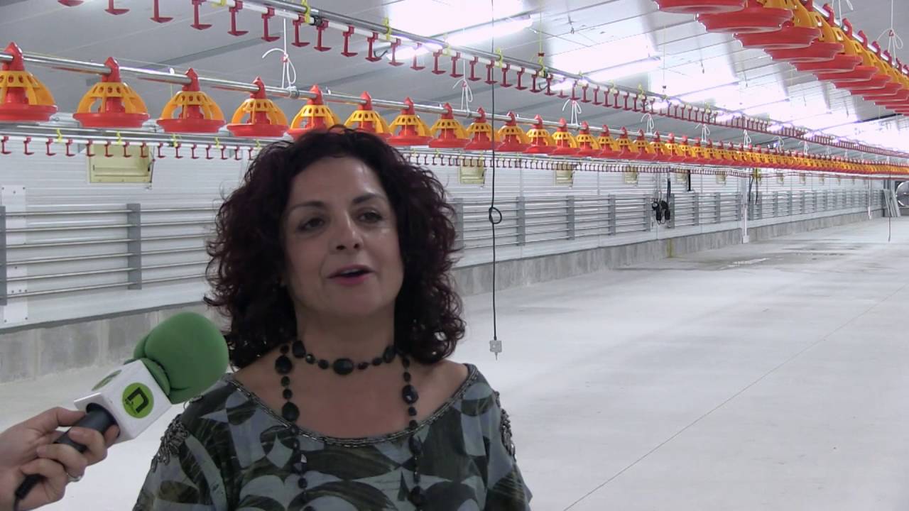 Inauguración nave de pollos Exafan en Fuenterrobles HD