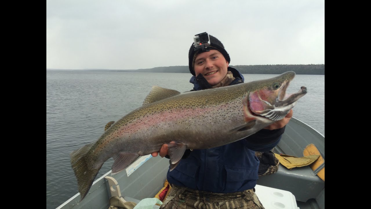 Rainbow Trout Fishing - YouTube