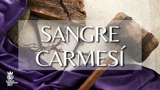 Video thumbnail of "SANGRE CARMESÍ | Himno Majestuoso #245 | Música y Letra - 2° Edición"