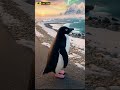 The Penguin Who Didn’t Follow the Crowd | IAS Factor #motivation #ias2026 #upsc2026 #lbsnaa #iasexam