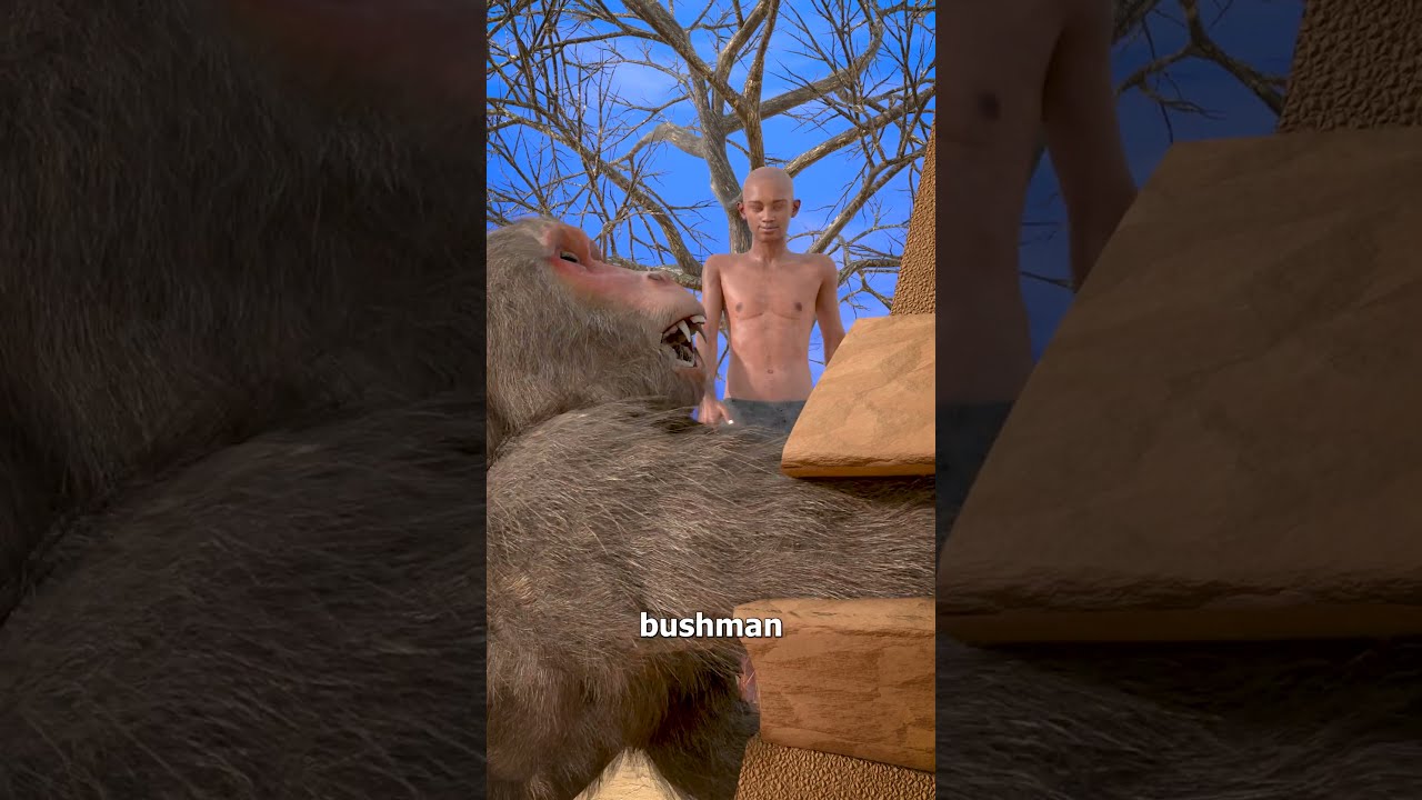 How To Catch A Baboon 