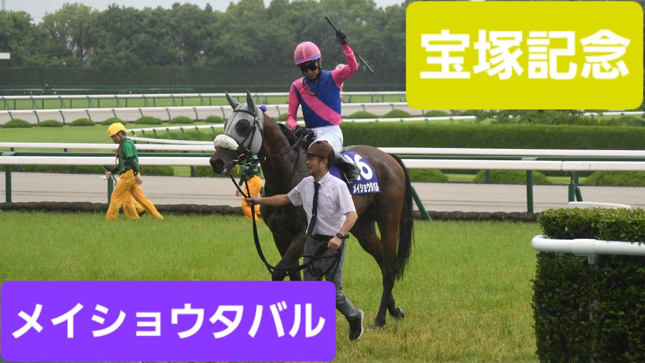 史上3頭目の連覇達成】2026年第67回宝塚記念（GⅠ）優勝馬メイショウ
