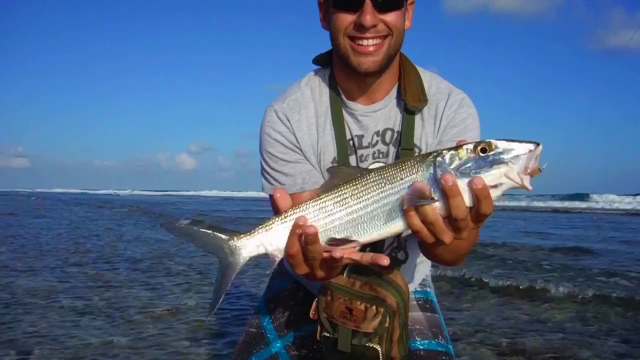 Fly Fishing Cayman Islands Bonefish, Tarpon [Go Pro] YouTube