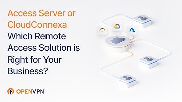 Access Server or Cloud Connexa