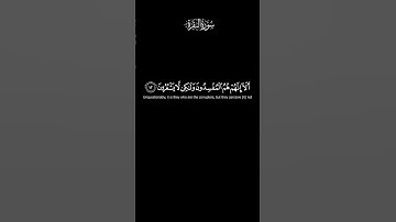 كرومات قرآن كريم | في قلوبهم مرض | سورة البقرة | مشاري العفاسي | قرآن شاشه سوداء | #كرومات_قرآن