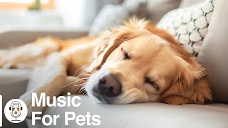 Soothing Music for Dogs to Calm Down, Relax & Sleep | Dog Music Therapy Calming Aid for Relaxation by For Your Pets 926 views 2 days ago 4 days