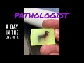 A Day in the Life of a Pathologist - MEDTakeovers by Jerad Gardner, MD