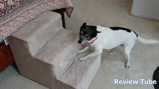 Pet Stairs by Vibrant Life A Review