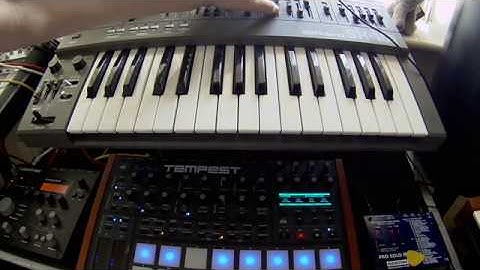 DSI Tempest, Roland SH101 & Elektron Analog Heat