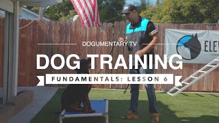 DOG TRAINING FUNDAMENTALS: LESSON 6: DURATION, DISTRACTION, & DISTANCE