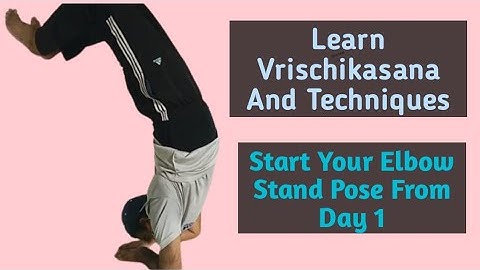 Start your elbow stand pose from day 1 || learn Vrischikasana with easy  techniques