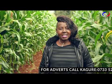 Nitakula Mchanga Kama Mchwa 