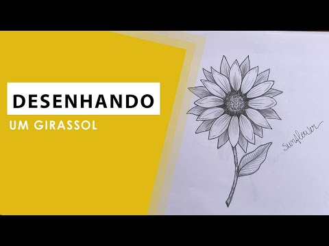 Vídeo: Como Desenhar Um Girassol
