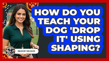 How Do You Teach Your Dog 