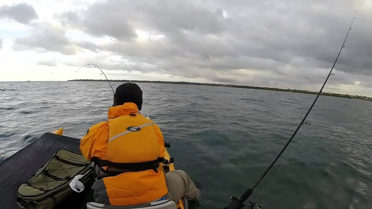 Kayak Fishing at Mordialloc, Victoria, Australia YouTube