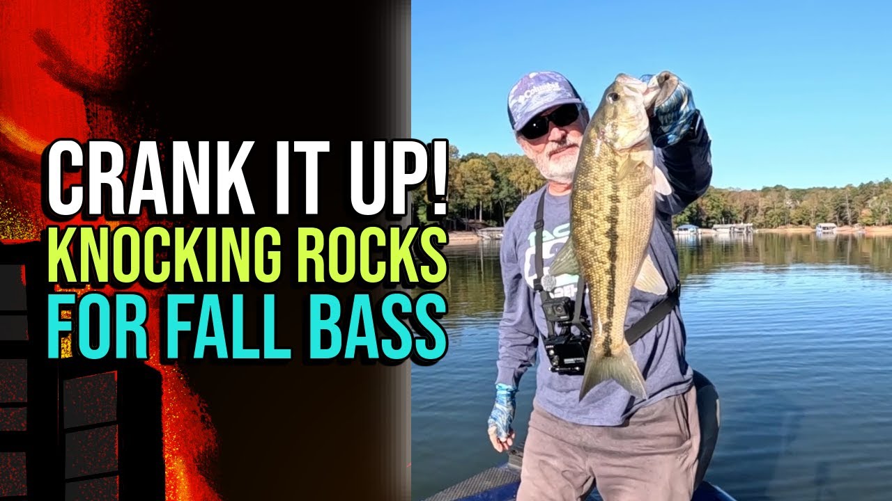 Knocking Rocks For Lake Lanier Fall Bass