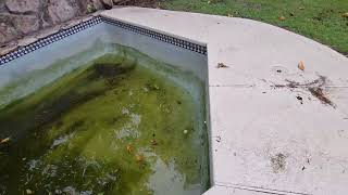 Submersible Pump 2" Rental from Home Depot, for $36 for 4 hours to drain a pool - About halfway done