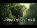 Whispers of the forest  celtic fantasy music  enchanting wiccan pagan music 