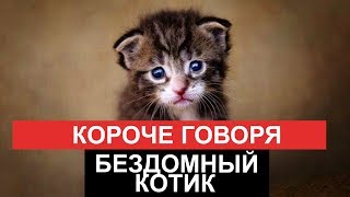 КОРОЧЕ ГОВОРЯ, БЕЗДОМНЫЙ КОТИК [От первого лица]  КОРОЧЕ ГОВОРЯ, ИСТОРИЯ ОДНОЙ ЖИЗНИ