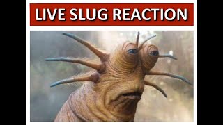Live Slug Reaction 😬😬☠