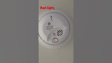 (Read Description) Red light, Green Light!