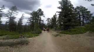 Bryce Canyon And Zion National Parks - Gojoe -