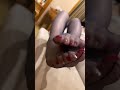 易直播 美妙 茄子社区 知足 足迹 资源众多看下方资讯 恋足 直播福利 主播福利 抖奶舞 美脚 热舞 媚舞 骚舞 大奶 长腿 丝袜 美腿 裸足 诱惑 脚底 脚底板 足交 脚交 易直播 美妙 茄子社区 知足 足迹 资源众多看下方资讯 恋足 直播福利 主播福利 抖奶舞 美脚 热舞 媚舞 骚舞 大奶 长腿 丝袜 美腿 裸足 诱惑 脚底 脚底板 足交 脚交