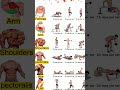 Bigger Arms in Minutes: 7-Min Biceps Workout for Quick Gains#