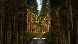 What we Saw in MONTANA Made Us NEVER hunt at Night... #encounters #cryptids #skinwalker