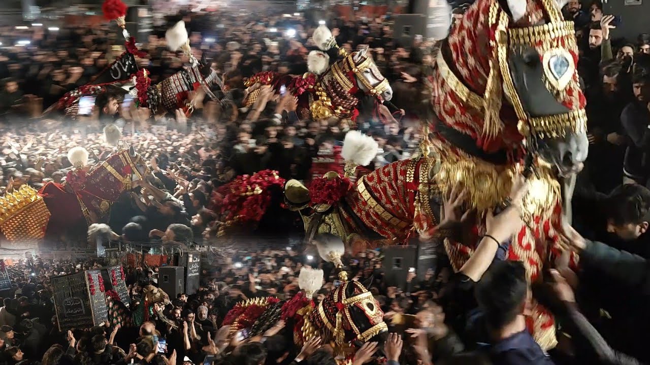 28 Rajab 2025 Baramdagi Markazi Ziyarat Qafila Hussaini Hussain Chowk Imamia Colony Shahdara