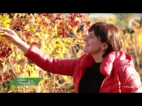 #ფერმა #გაიგემეტი როგორ მართავენ ქალები ბიზნესს - ტოსკანას აგროტურიზმი