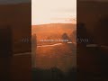 Life Quotes | Alone | Hurt | Quotes | Deep | Tiktok #shorts #deep #quotes #advice