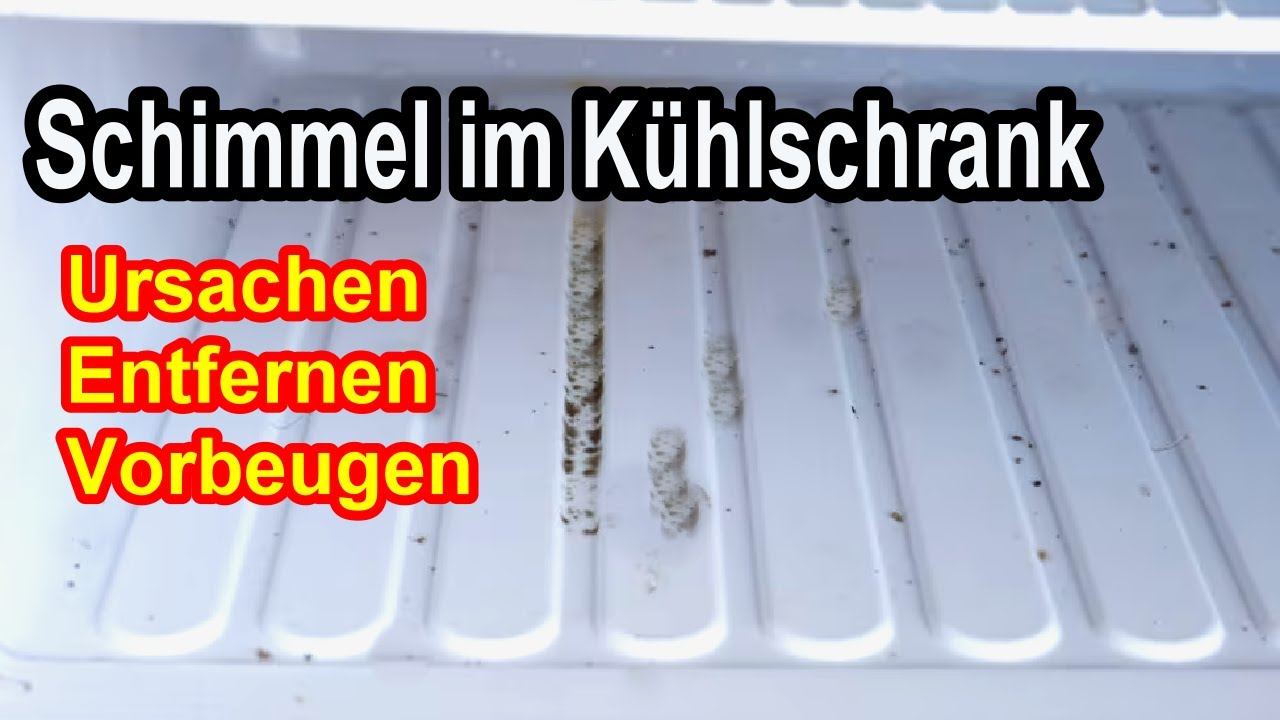 Spannende Schimmel Im Kuehlschrank Und Bewertungbrend1095