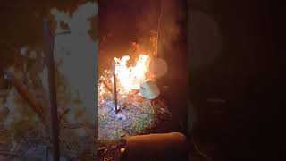 Разожгли костерок #тайга #лес #охота #природа #siberian #отдых #путешествия #рыбалка #юмор