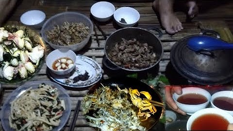 FULL VIDEO PHIÊU LƯUTRONG RỪNG - SINH TỒN, BẮT ẾCH RỪNG, CÁ SUỐI, NGỦ RỪNG | THỢ RỪNG HOANG DÃ