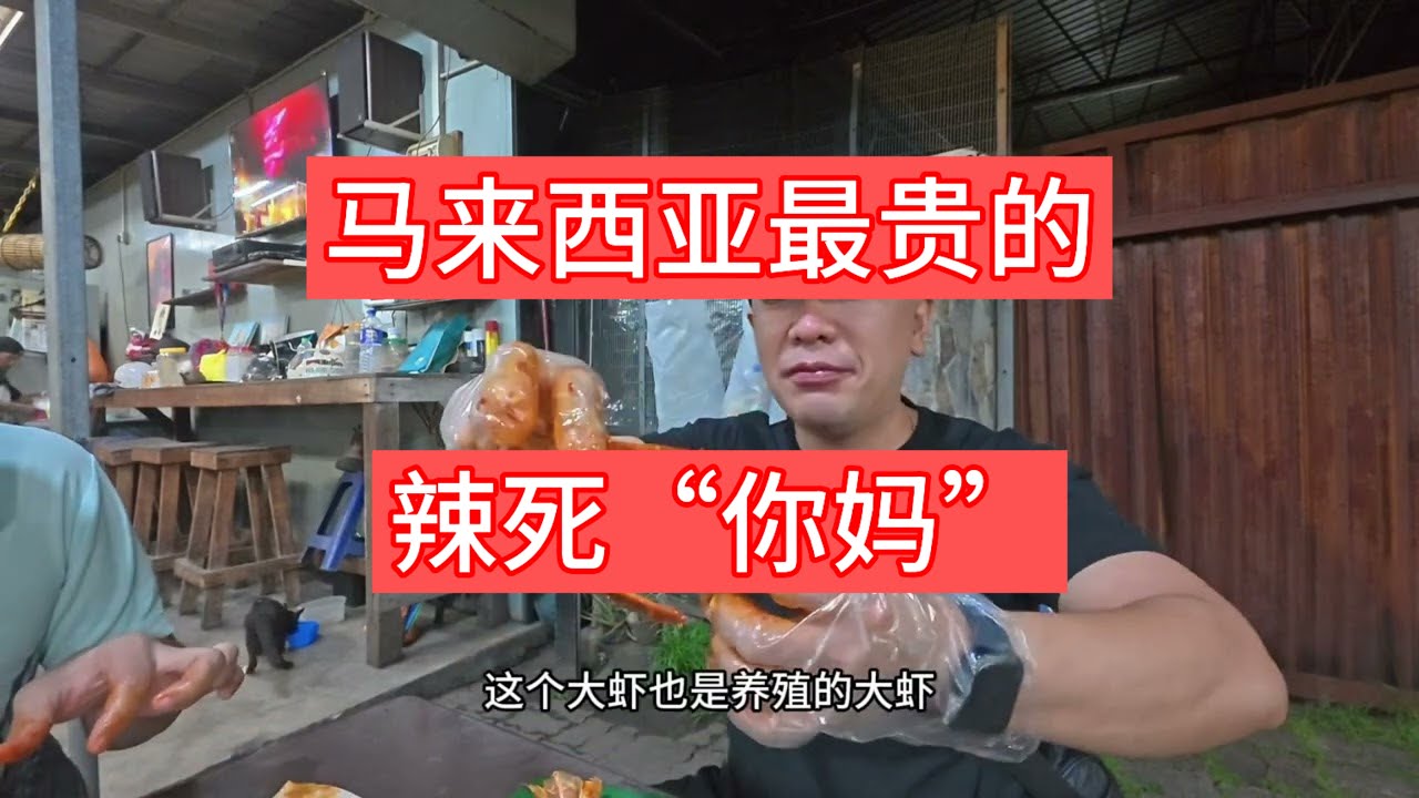 马来西亚最贵的椰浆饭你们吃过吗？马来西亚特色美食椰浆饭