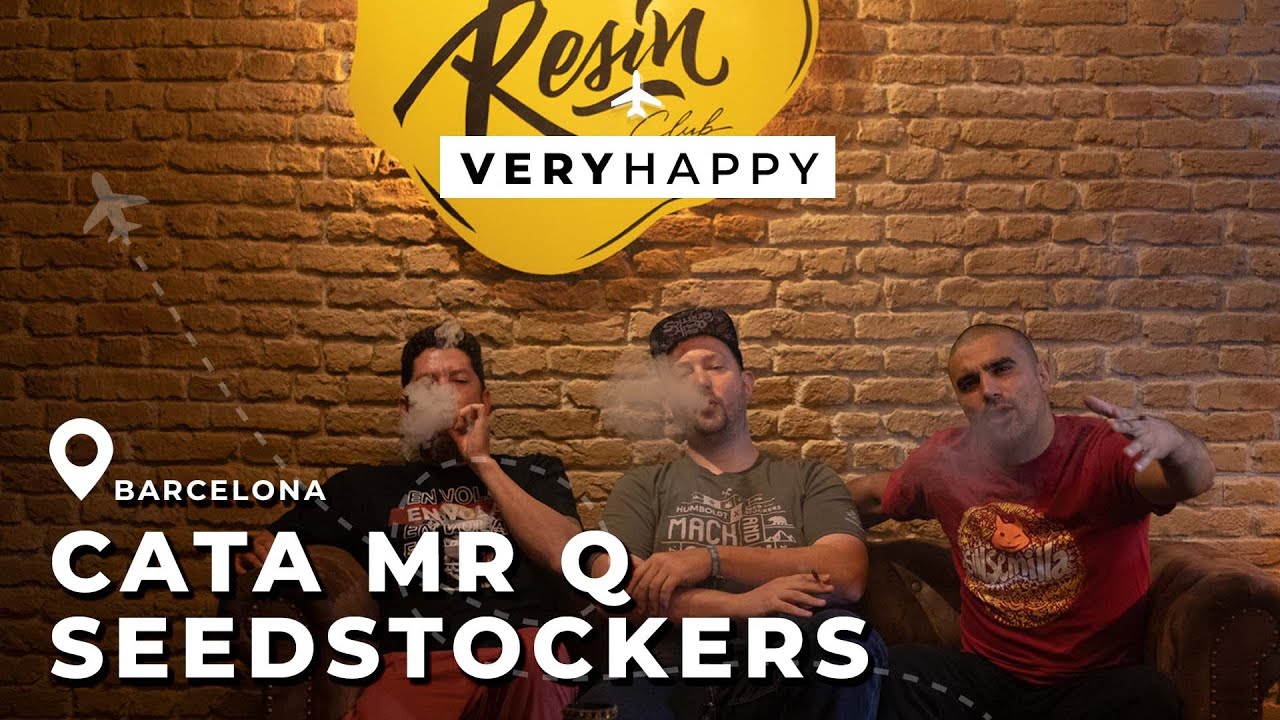 CATA DE VARIEDADES SEEDSTOCKERS CON MR.Q