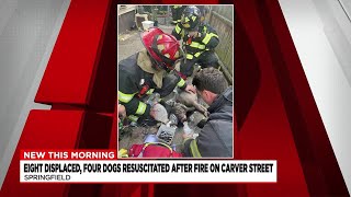 8 displaced; 4 dogs resuscitated after fire on Carver Street in Springfield