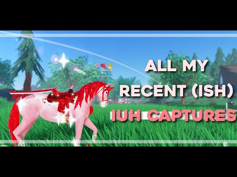 All recent(ish) IUH captures! || Wild horse islands