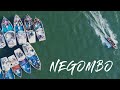 Negombo Fish Market - Sri Lanka 🇱🇰
