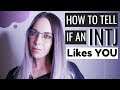 How to Tell if an INTJ Likes You
